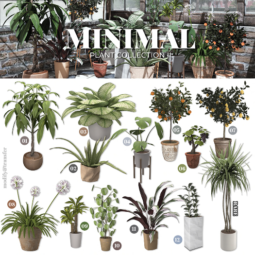9. MINIMAL - Plant Collection II