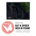 Second Life Marketplace - *:Wendy1435SL:* - Bat n Spider web in frame ...