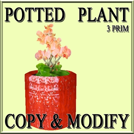 * GuTi orchid orange 5 in ceramic planter orange