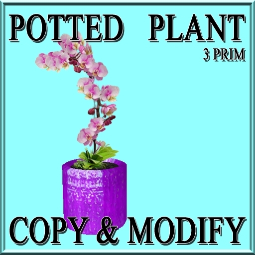 * GuTi orchid pink 2 in ceramic planter pink