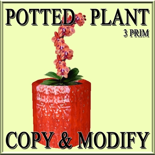 * GuTi orchid orange 3 in ceramic planter orange
