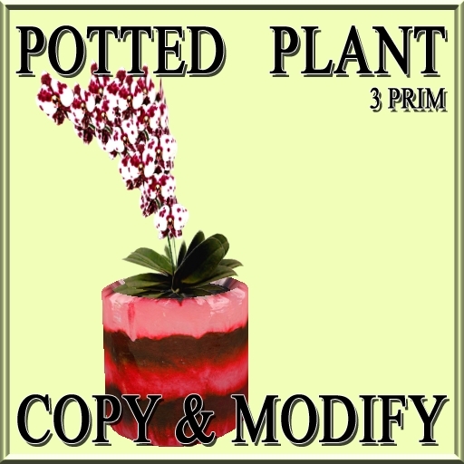 * GuTi orchid ever spring fairy red in ceramic planter red