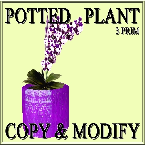 * GuTi orchid ever spring fairy purple in ceramic planter pink