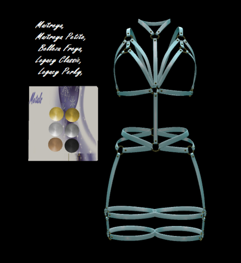 [BB's]  Zoey Harness Blue
