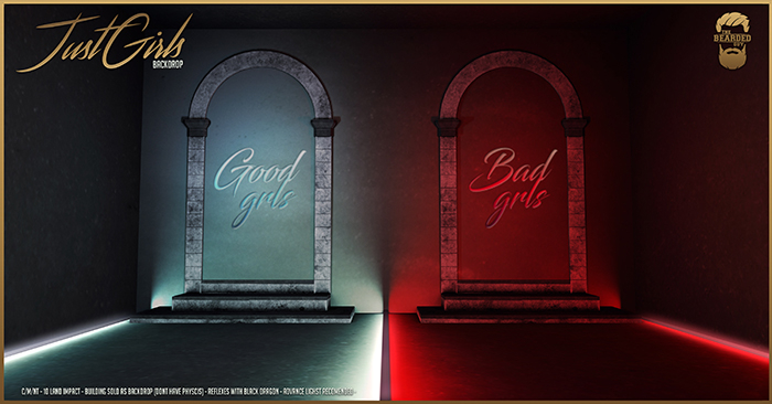 Just Girls Backdrop - The Bearded Guy