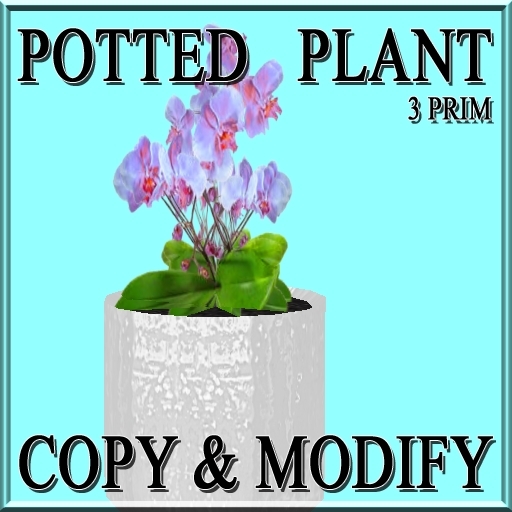 * GuTi orchid blue 5 in ceramic planter white