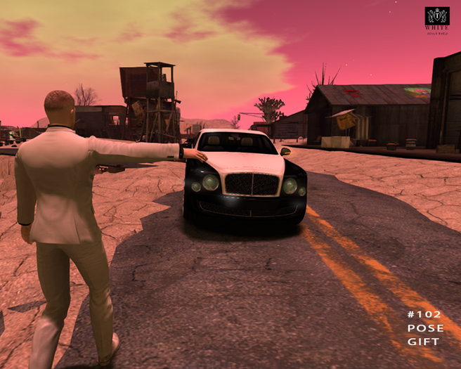 #102 POSE GIFT 