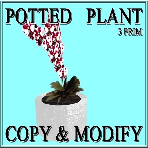 * GuTi Orchid Ever Spring Fairy in ceramic planter white