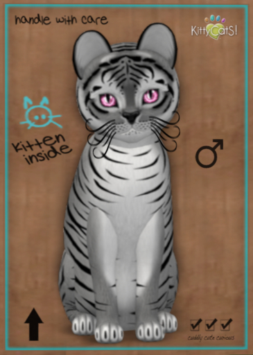 9T Tiger! Shadow - Crystal Berry