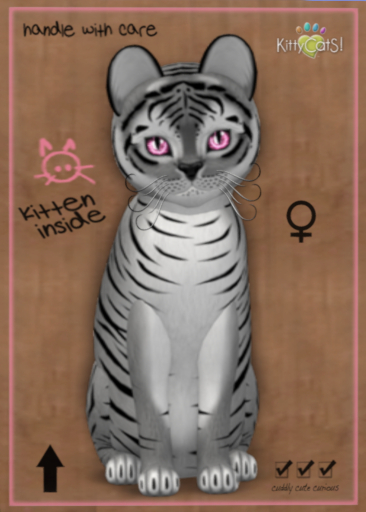 9T Tiger! Shadow - Crystal Berry