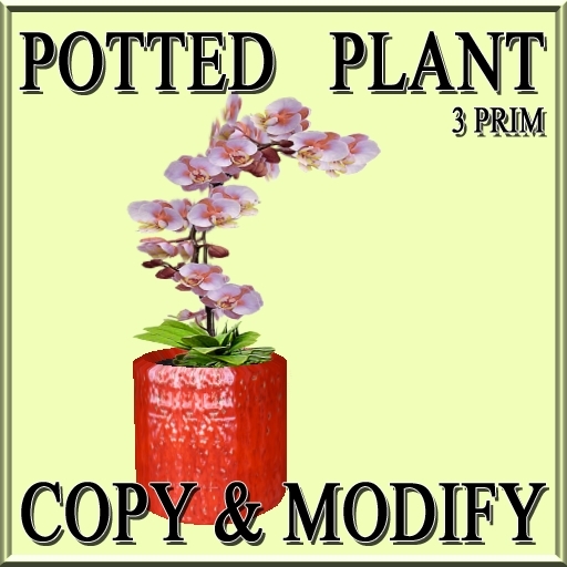 * GuTi orchid orange 2 in ceramic planter orange