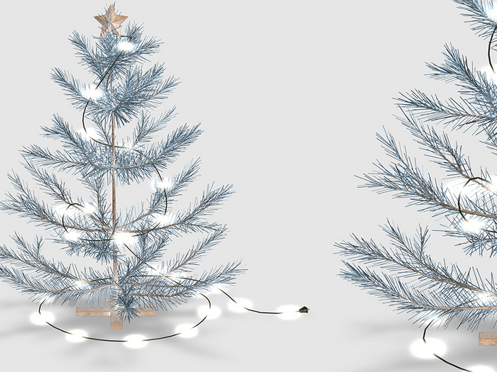 Dahlia - Aster - Mini Tree - Blue