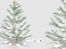 Dahlia - Aster - Mini Tree - Green