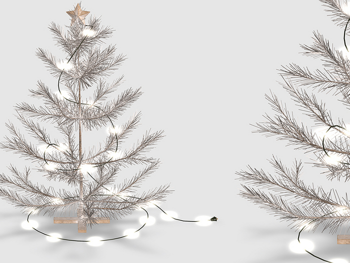 Dahlia - Aster - Mini Tree - White 