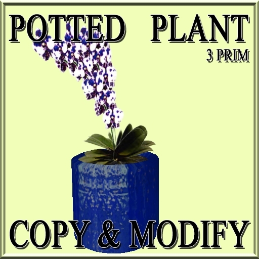 * GuTi orchid ever spring fairy blue in ceramic planter blue