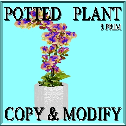 * GuTi orchid blue in ceramic planter white