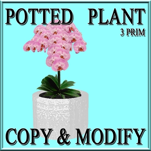 * GuTi orchid pink 3 in ceramic planter white