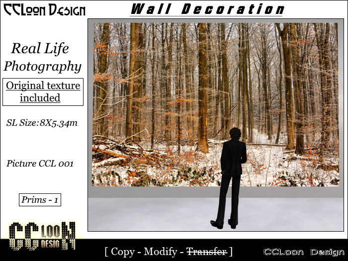 CCL Photo Gallery. Wall Decoration - Picture 001 - 8x5.34 m