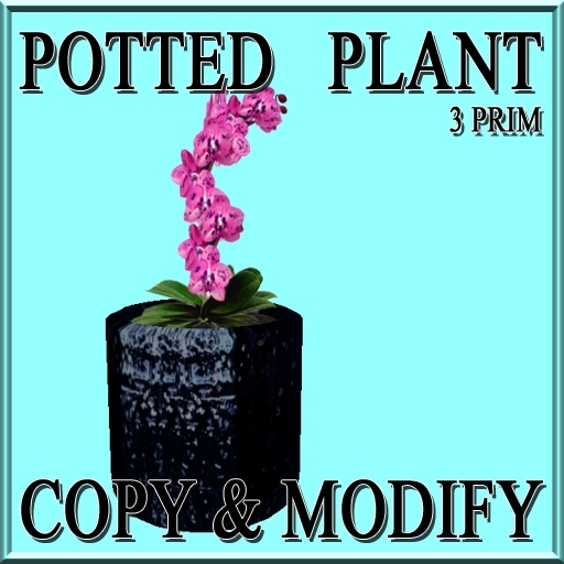 * GuTi orchid pink 4 in ceramic planter black