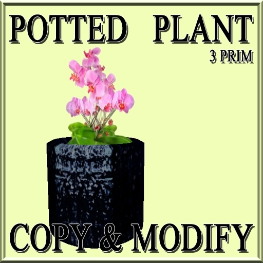 * GuTi orchid pink 5 in ceramic planter black