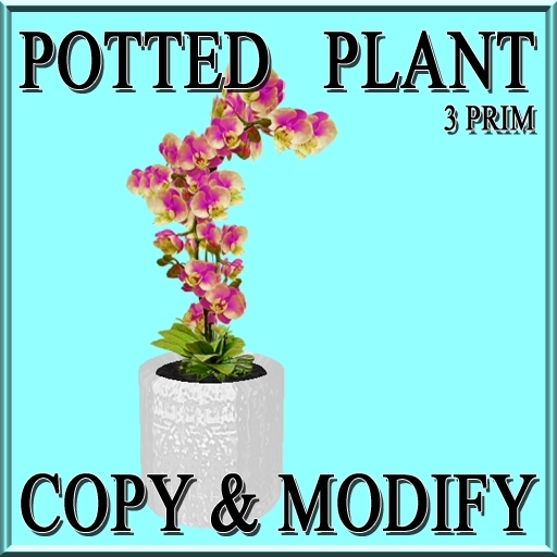 * GuTi orchid pink in ceramic planter white