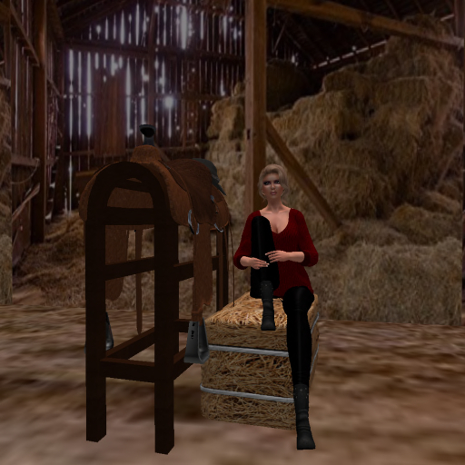 Animated Saddle Rack #2