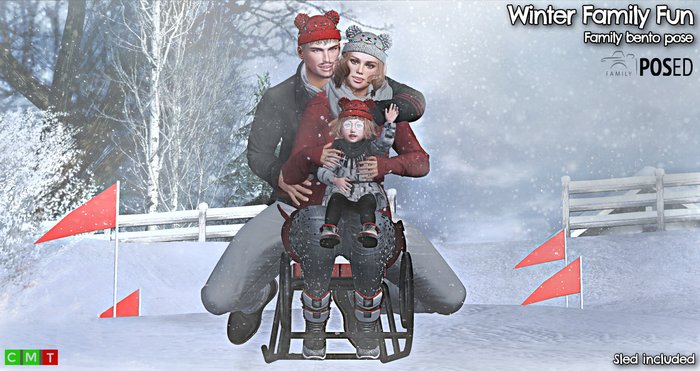 PosEd - Winter Family Fun