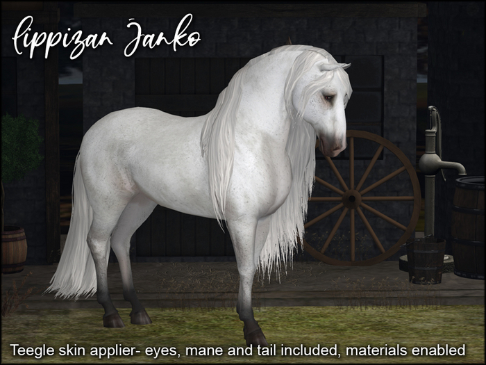 ME_Teegle applier Lippizan Janko