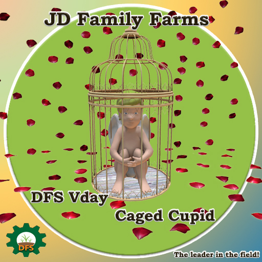 DFS Vday Caged Cupid - Valentine's Day Celebration