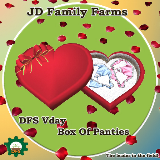 DFS Vday Box Of Panties - Valentine's Day Celebration