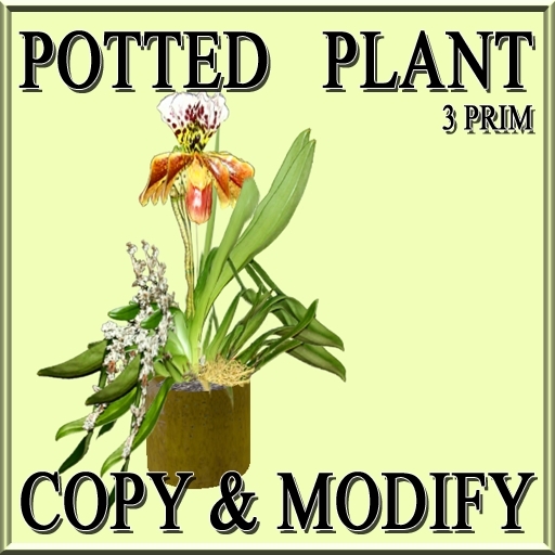 * GuTi Orchidee 1 in ceramic planter curry
