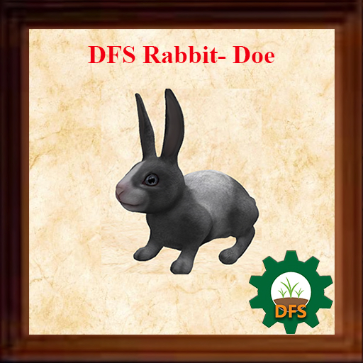 DFS Rabbit Doe [actual item]