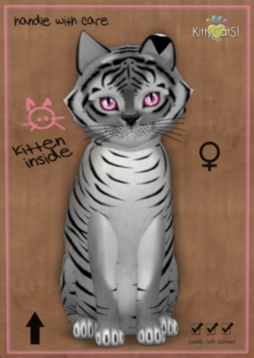 Floofy 9T Tiger! Shadow - Crystal Berry