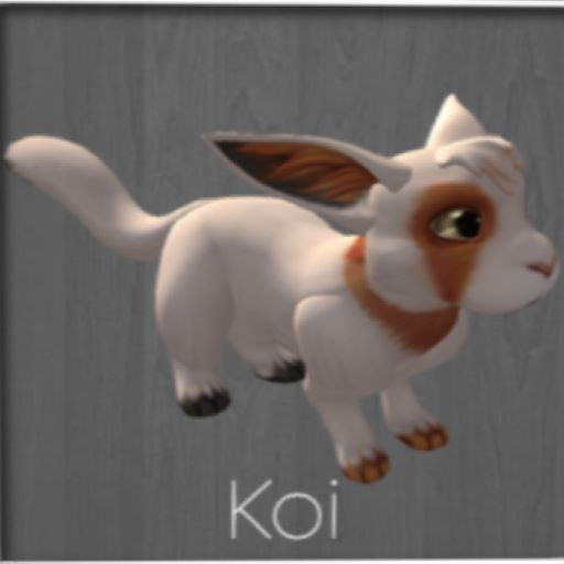 Koi (M) friendly Meeroo Nest ID #8315378