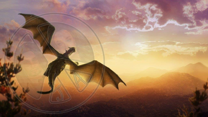 122 - Fantasy - Flying Dragon - Sunset - Land Divider - Privacy Screen
