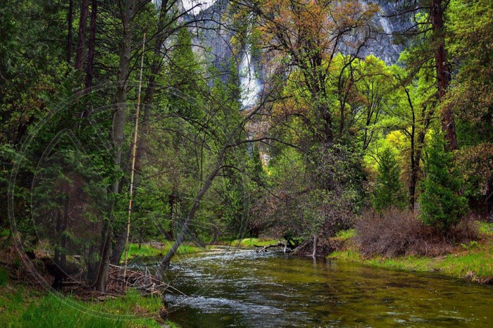 146 - Summer - Forest - Stream - Water - Trees - Rock - Waterfall - Land Divider - Privacy Screen