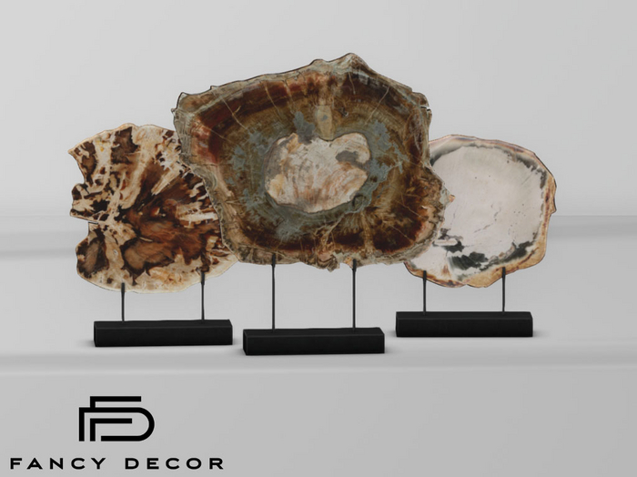 Fancy Decor: Dario Petrified Wood