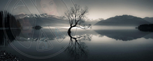 154 - Winter - Dark Lake - Snowy mountains - Dark lake - Lightbeams - Black tree - Land Divider - Privacy Screen
