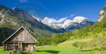 159 - Switserland - Summer - Snowy and Green Mountains - Trees - Grass - Wooden Hut - Land Divider - Privacy Screen