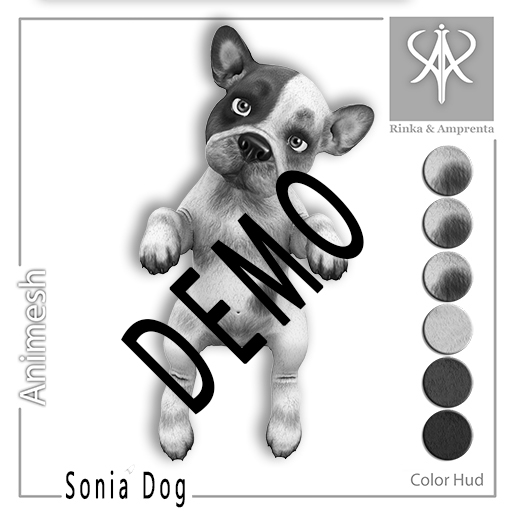 DEMO - RINKA&AMPRENTA - Sonia Dog