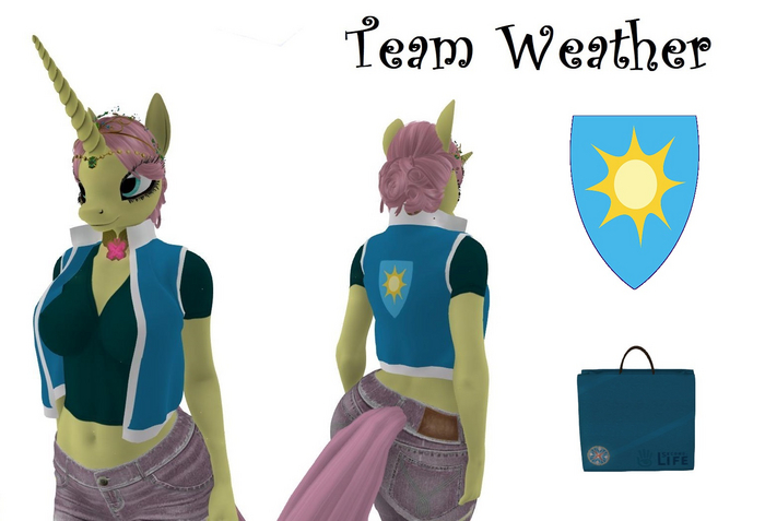 *TiWa* Winter Wrap Up Weather Team Vest