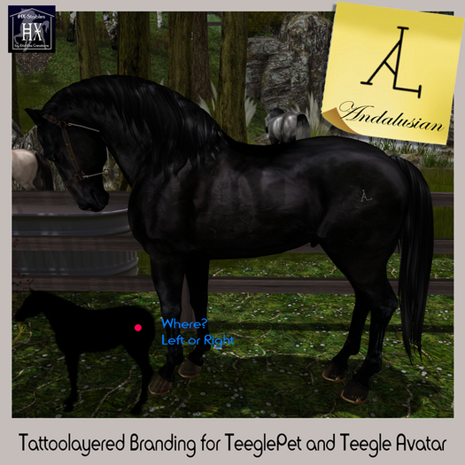 [HX] Stables - Anda Branding HUD (ADD ME)