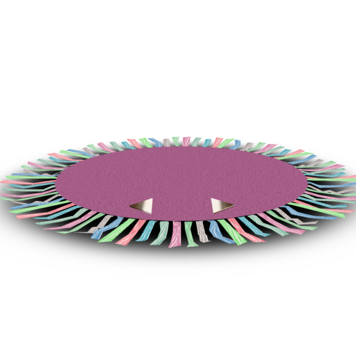 Round Fringe POSING Rug (Pink) BOXED