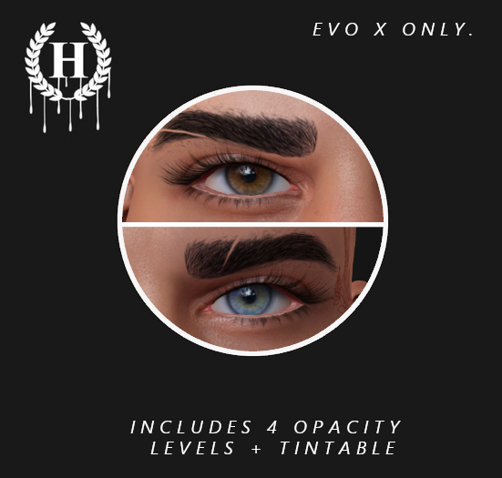 [H.] RICO BROWS SLIT. EVO X - UNPACK
