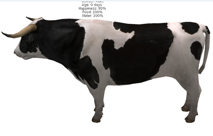 DFS Bull - Holstein