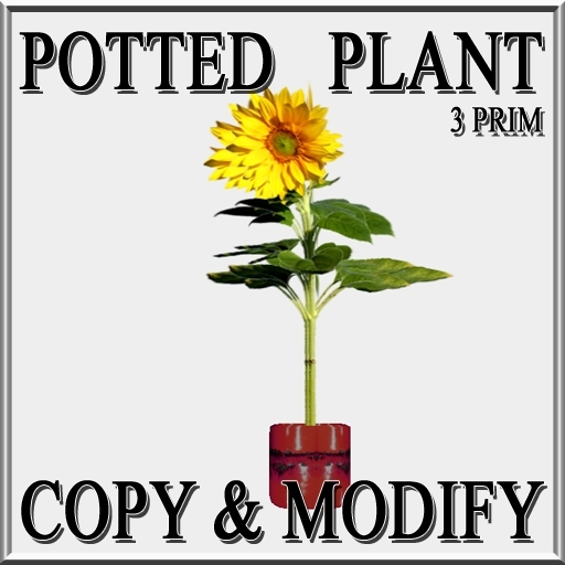 * GuTi sunflower in ceramic planter red
