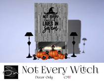 **SN~ Not Every Witch