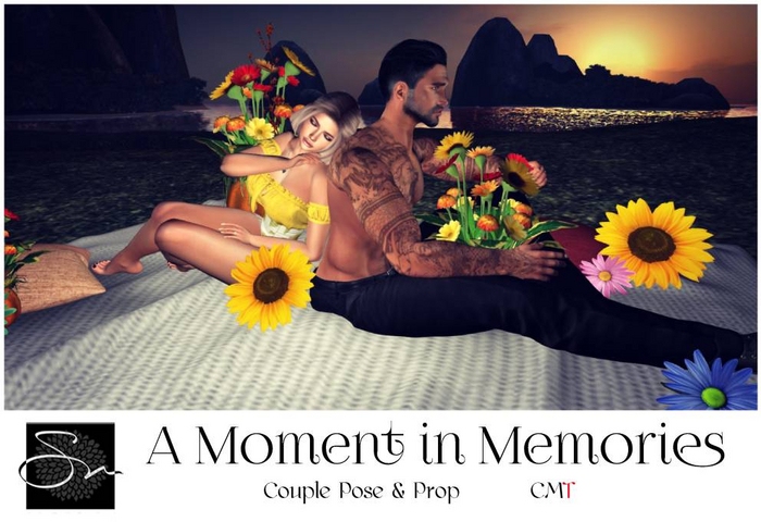 **SN~ A Moment in Memories