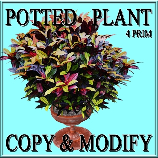 GuTi 4 Prim Terra potted Codiaeum variegatum Croton