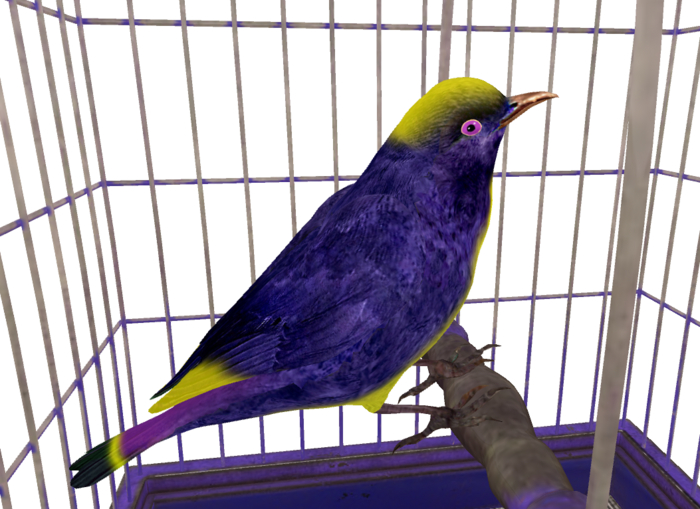 Vintage Bird Cage and Exotic Animated Bird - Purple (Copy/Mod)